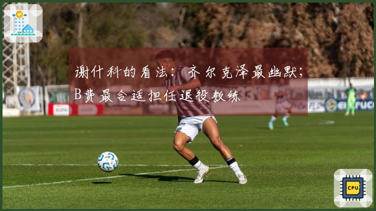 谢什科的看法：齐尔克泽最幽默；B费最合适担任退役教练